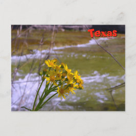 Postal Flores en el arroyo de toros
