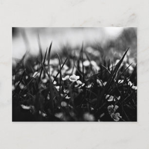 Postal Flores en el campo en primavera