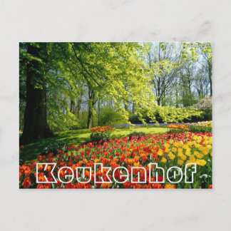 Postal Flores en Keukenhof, árboles y tulipanes