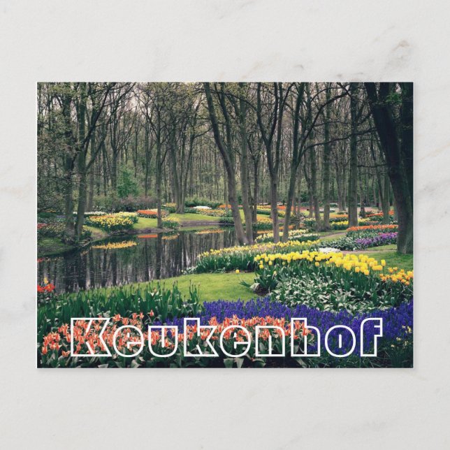 Postal Flores en Keukenhof, bosques y canales (Anverso)