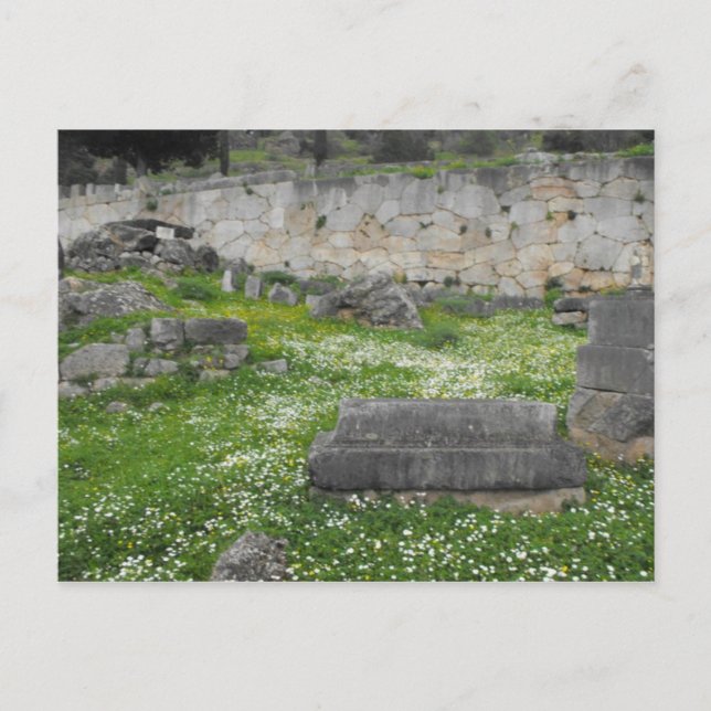 Postal Flores en las ruinas de Delphi (Anverso)