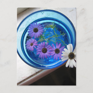 Postal Flores en piscina azul