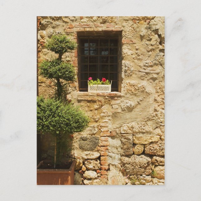 Postal Flores en una caja de ventanas en un umbral de ven (Anverso)