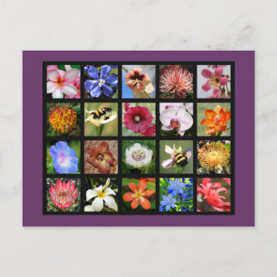 Postal Flores exóticas del mundo