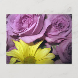 Postal Flores florecen y los Rosas margaritas aman el des