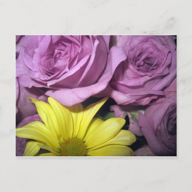 Postal Flores florecen y los Rosas margaritas aman el des (Anverso)