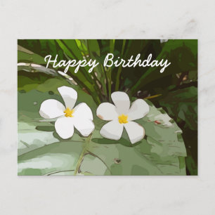 Postal Flores Frangipani Plumeria en el cumpleaños verde