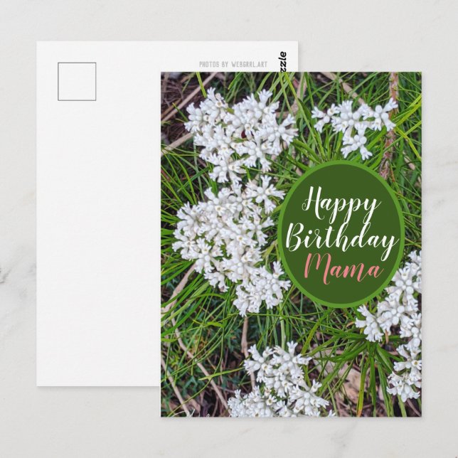 Postal Flores frescas verdes y blancas Feliz cumpleaños m (Anverso / Reverso)
