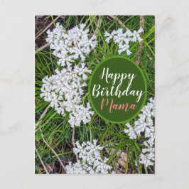 Postal Flores frescas verdes y blancas Feliz cumpleaños m