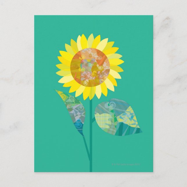 Postal Flores giratorias en flor (Anverso)