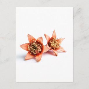 Postal Flores granadas