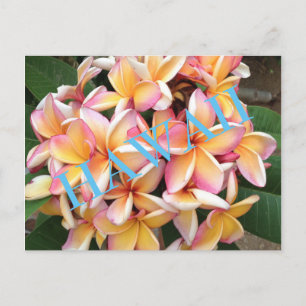 Postal Flores hawaianas para todos