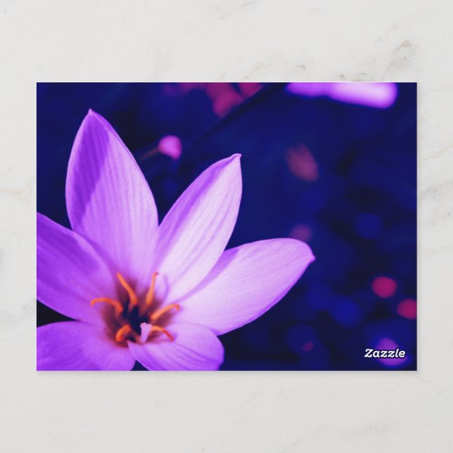Postal Flores Hermosas (Reverso)