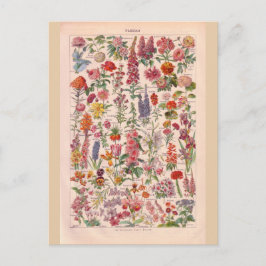 Postal Flores históricas de época