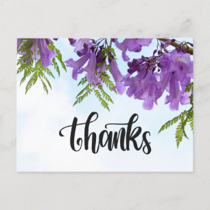 Postal Flores Jacaranda moradas floreciendo en el árbol