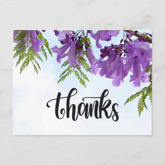 Postal Flores Jacaranda moradas floreciendo en el árbol (Anverso)