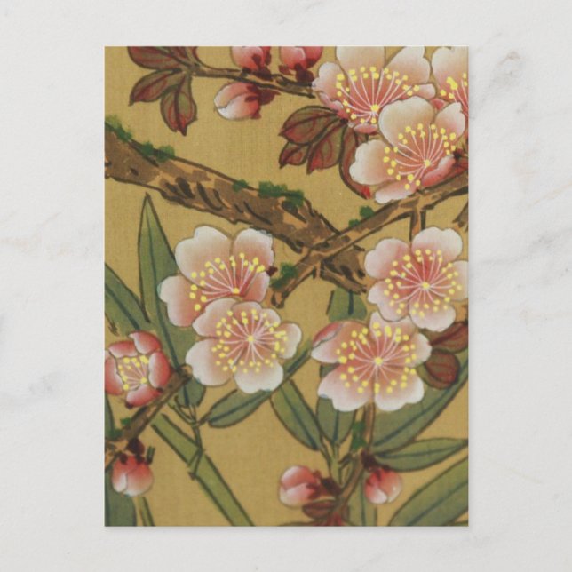 Postal Flores japonesas asiáticas de flor de cerezo vinta (Anverso)