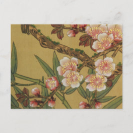 Postal Flores Japonesas Asiáticas de Flor de Cerezo Vinta