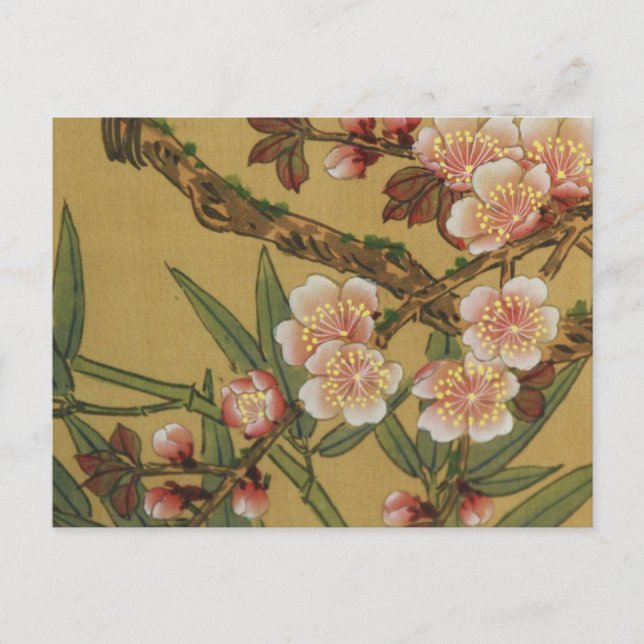 Postal Flores Japonesas Asiáticas de Flor de Cerezo Vinta (Anverso)