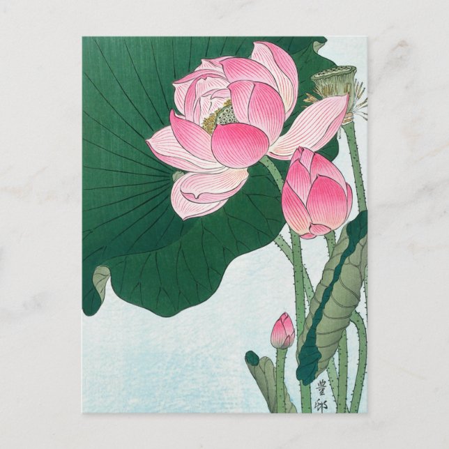 Postal Flores Lotus en flor, koson, arte de flores japone (Anverso)
