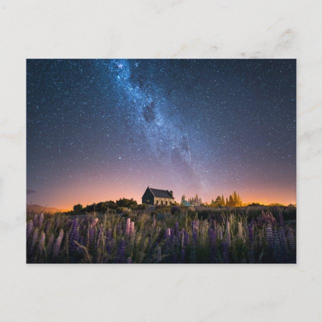 Postal Flores | Lupines Blooming Lake Tekapo Nueva Zeland (Anverso)