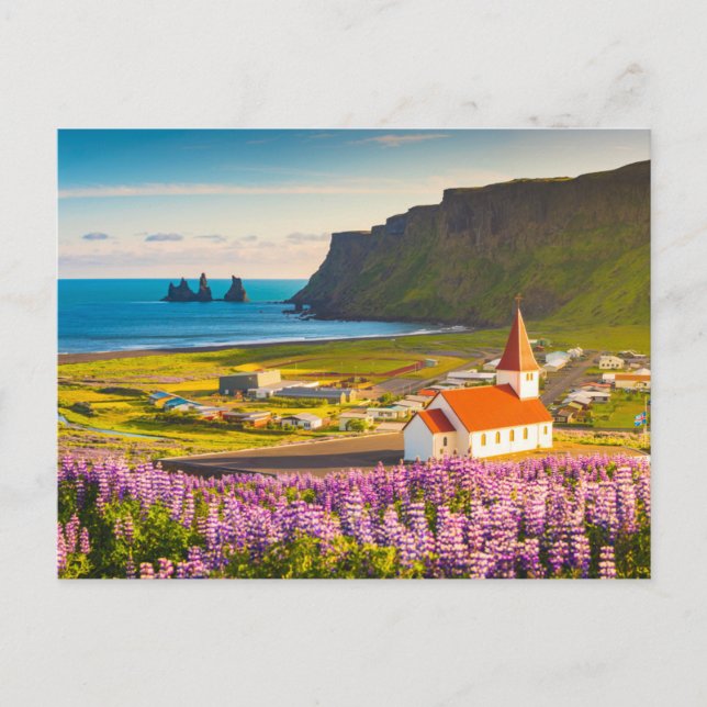 Postal Flores | Lupines en flor en el sur de Islandia (Anverso)