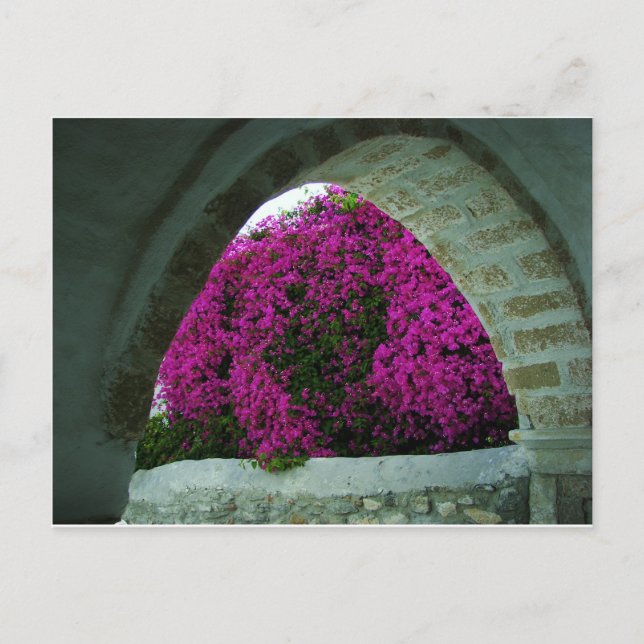 Postal Flores moradas a través de un arco. (Anverso)