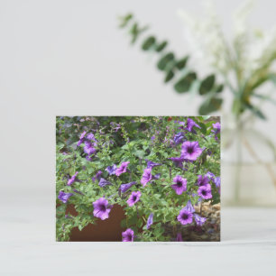 Postal Flores moradas de flores
