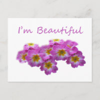 Flores moradas, soy hermosa