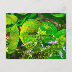 Postal Flores Morados Entre Hojas Verdes