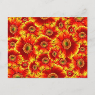 Postal Flores Naranjas Brillantes