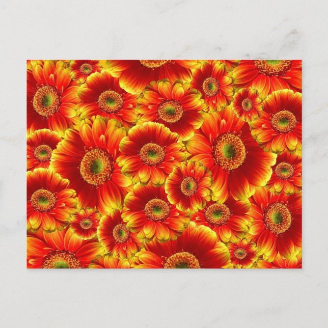 Postal Flores Naranjas Brillantes (Anverso)