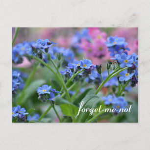 Postal Flores no-negras