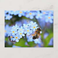 Flores nomeolvides con sobrevuelo