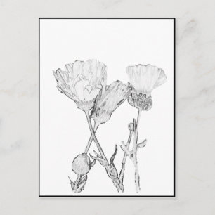 Postal - Flores para Colorear