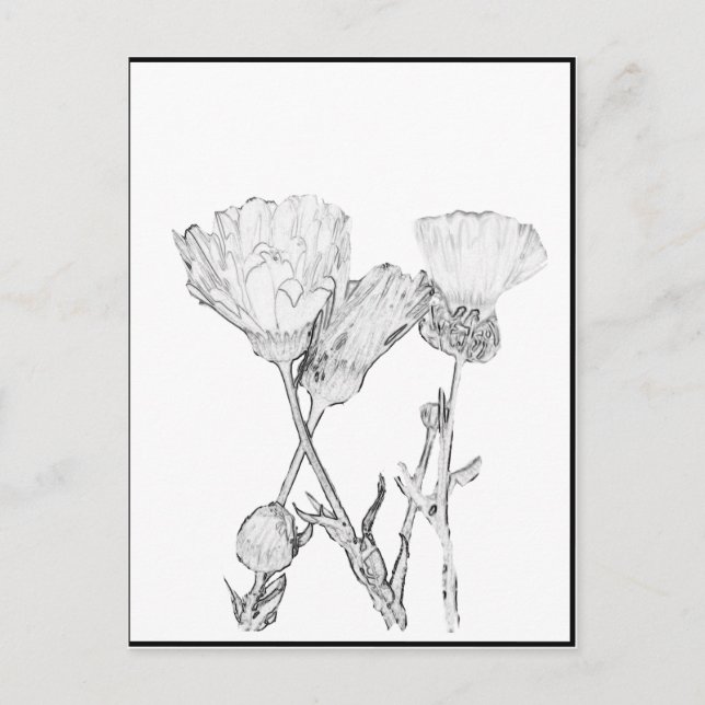 Postal - Flores para Colorear (Anverso)