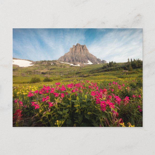 Postal Flores | Parque nacional Glaciar de Montana (Anverso)