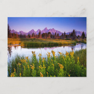 Postal Flores Parque Nacional Grand Teton, Wyoming