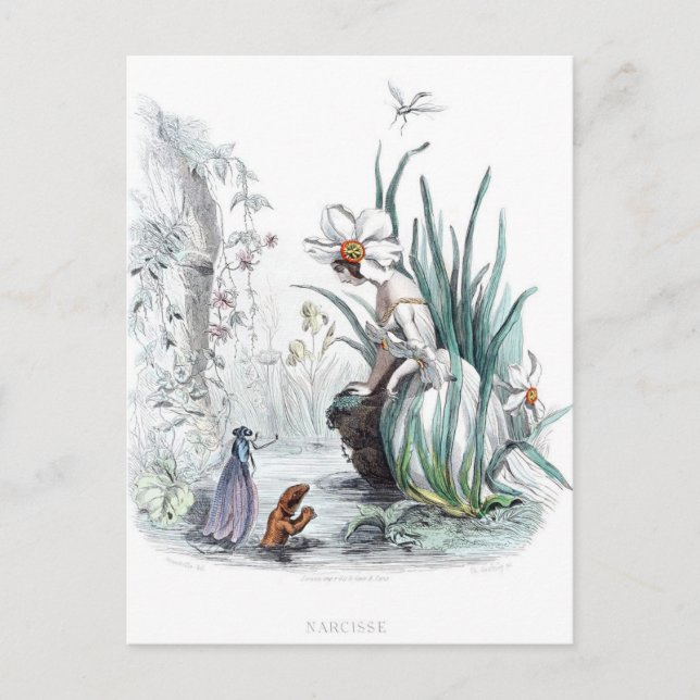 Postal Flores personificadas (Anverso)