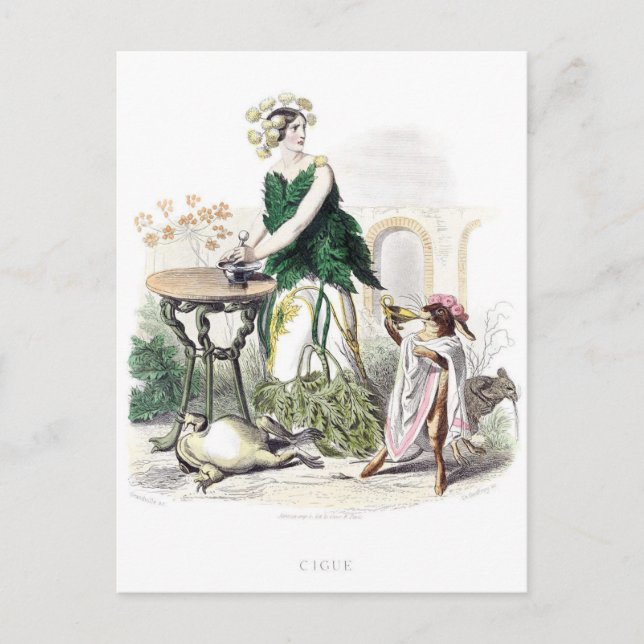 Postal Flores personificadas (Anverso)