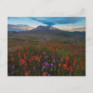 Postal Flores   Pincel indio y penstemon
