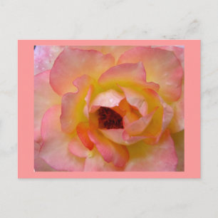 Postal Flores postales-10