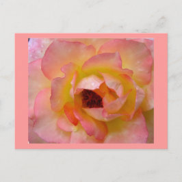 Postal Flores postales-10