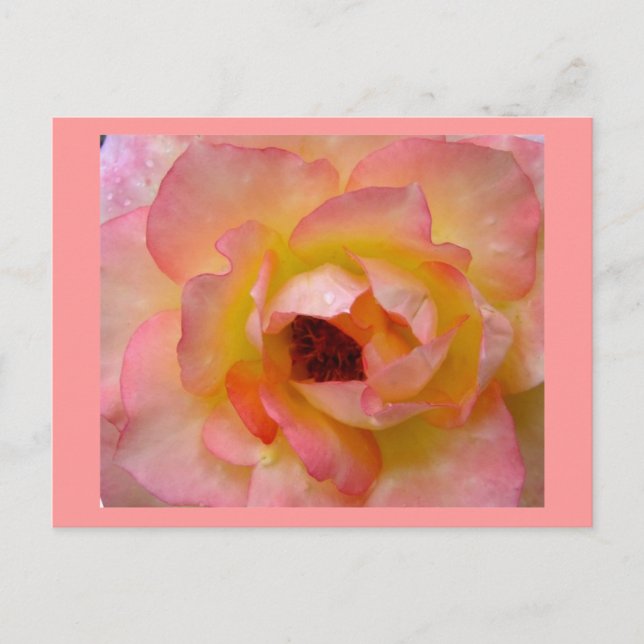 Postal Flores postales-10 (Anverso)