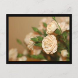 Postal Flores postales-21