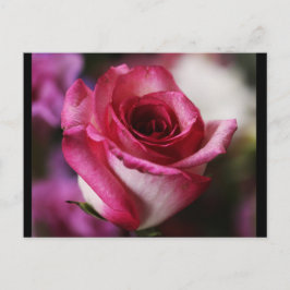 Postal Flores postales-26