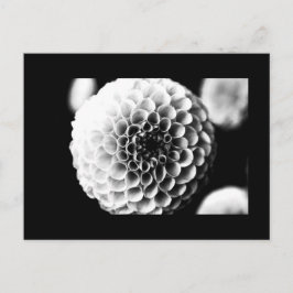 Postal Flores postales-51