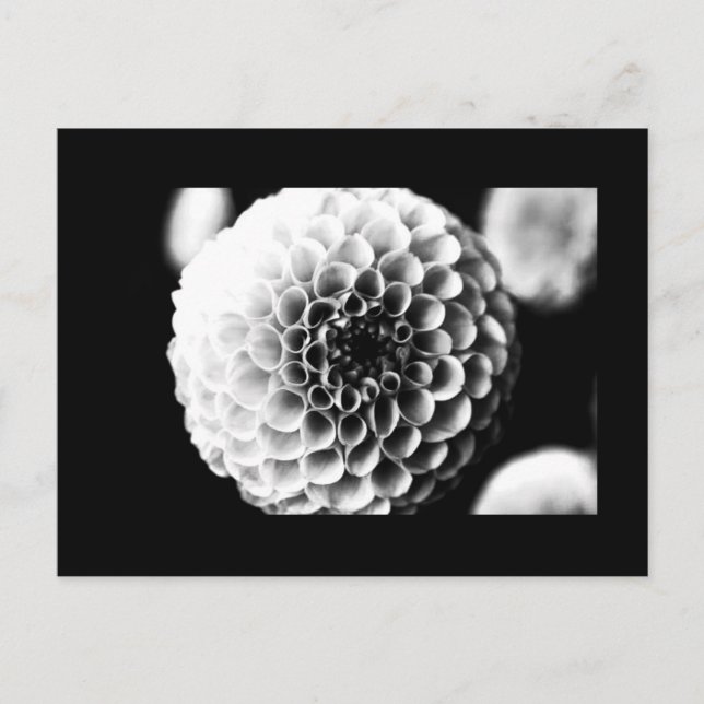 Postal Flores postales-51 (Anverso)