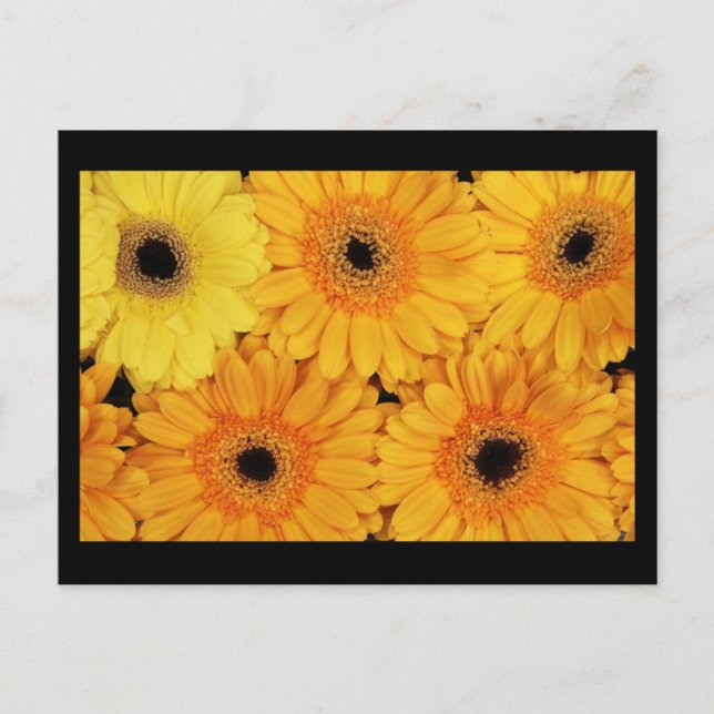 Postal Flores postales-6 (Anverso)