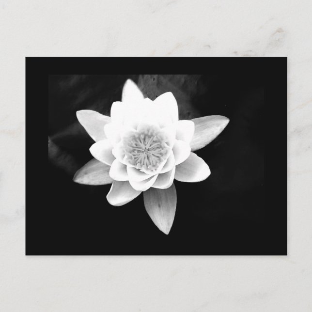 Postal Flores postales-63 (Anverso)